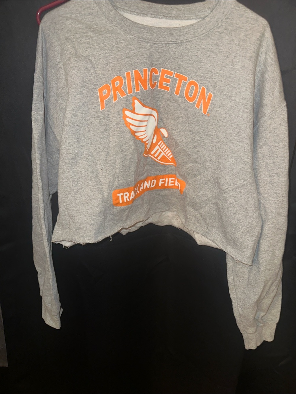 Nameless Gray Cropped Princeton Track & Field Sweatshirt with Orange Logo